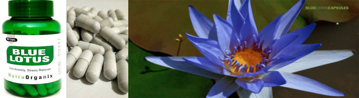 Buy Blue Lotus 500 mg in the US